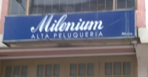 MILENIUM ALTA PELUQUERIA MILENIUM ALTA PELUQUERIA